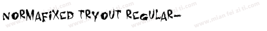 Normafixed Tryout Regular字体转换